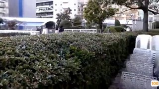 张心妍e