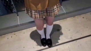 APAK-183 【超スケベ美巨乳】一度ヤラセて欲しい、隣の巨乳シングルママ。父兄会で知り合った他人パパに発情して自宅不倫SEX 三船可憐